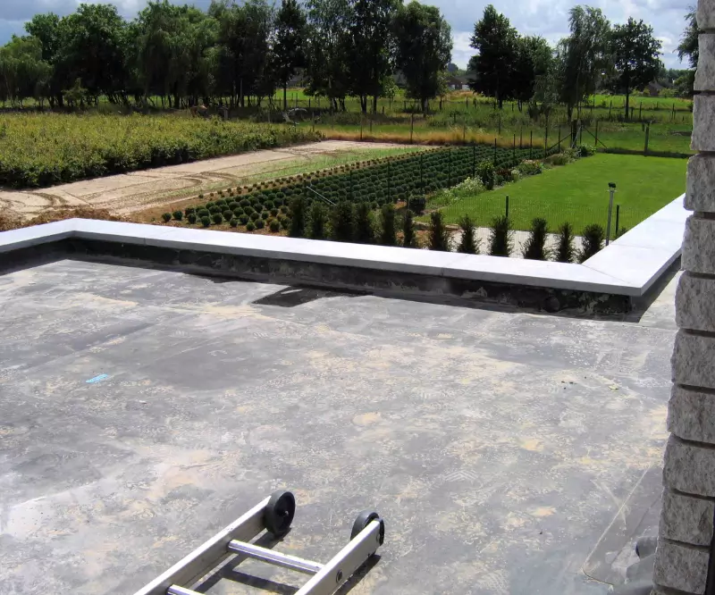 What Are The Advantages Of Flat Roofs? 