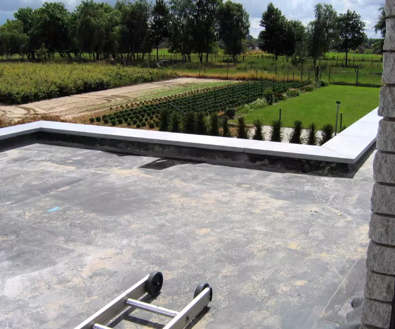 What Are The Advantages Of Flat Roofs?